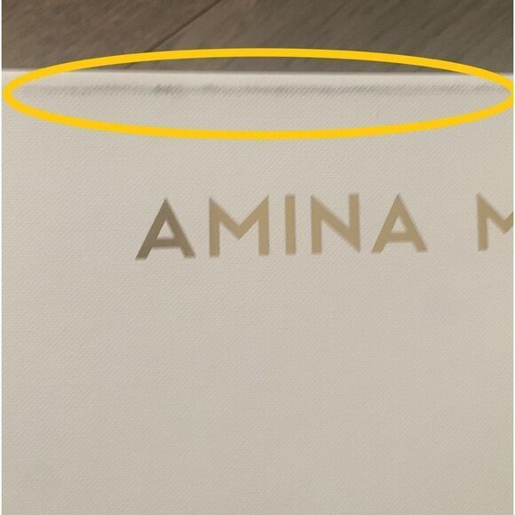 Amina Muaddi Empty Replacement Magnetic Close Shoe Heels Gift Box 12”x8”x4.5” - Picture 9 of 9